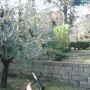 manutenzione-spazi-verdi-03.JPG